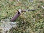 Eladó lakóövezeti telek Csongrád
