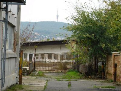 Kiadó egyéb iroda Pécs