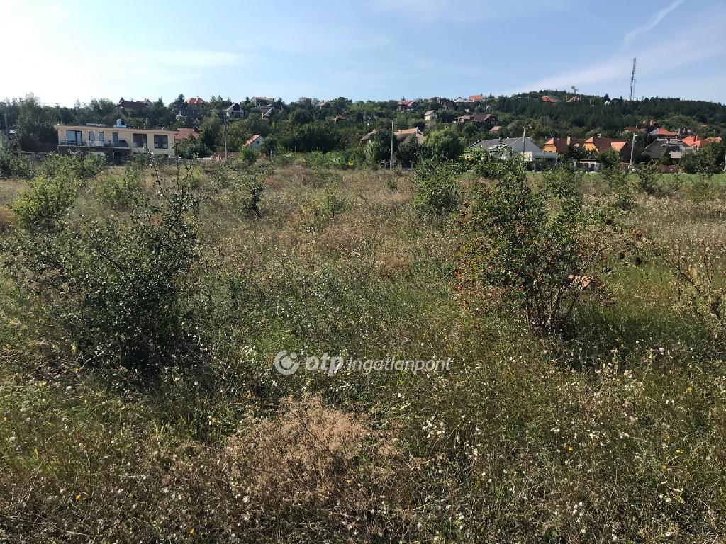Eladó lakóövezeti telek Velence