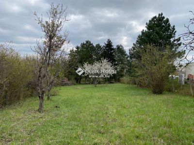 Eladó nyaraló Szentendre