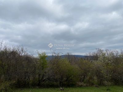 Eladó nyaraló Szentendre