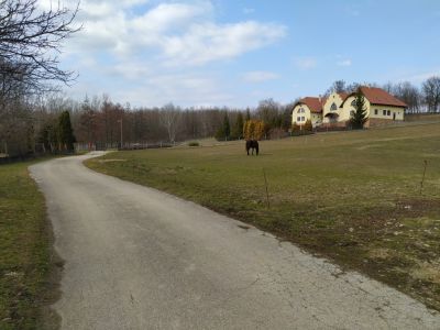 Eladó lakóövezeti telek Súr