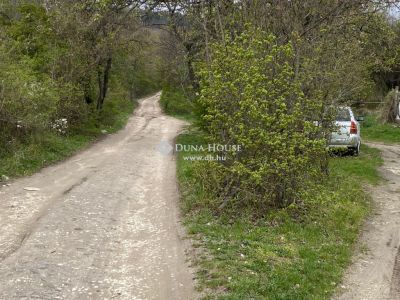 Eladó külterületi telek Szentendre