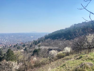 Eladó lakóövezeti telek Pécs