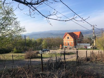 Eladó lakóövezeti telek Dunabogdány