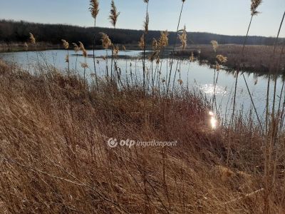 Eladó általános mezőgazdasági ingatlan Úri