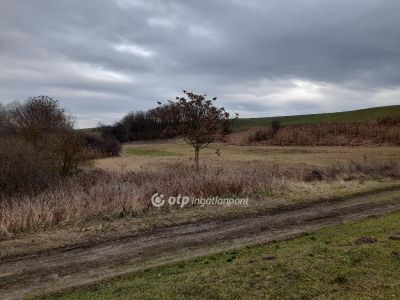 Eladó általános mezőgazdasági ingatlan Úri