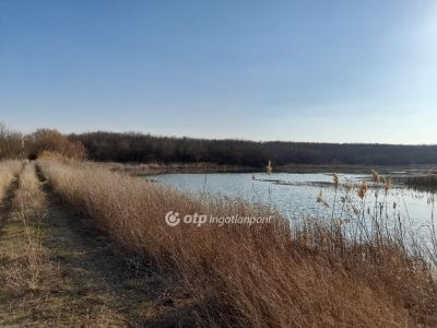 Eladó általános mezőgazdasági ingatlan Úri