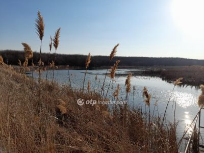 Eladó általános mezőgazdasági ingatlan Úri