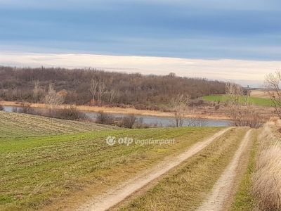Eladó általános mezőgazdasági ingatlan Úri