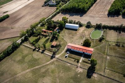 Eladó általános mezőgazdasági ingatlan Lajosmizse