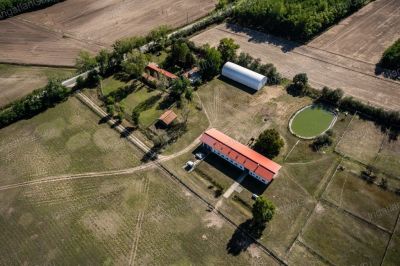 Eladó általános mezőgazdasági ingatlan Lajosmizse