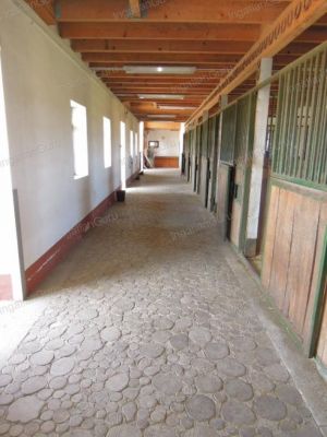 Eladó általános mezőgazdasági ingatlan Lajosmizse