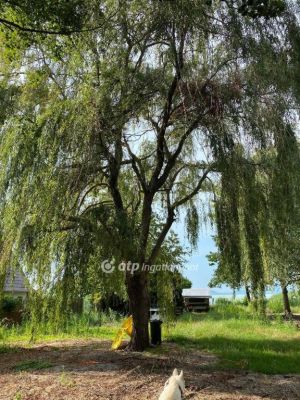 Eladó nyaraló Balatonfenyves