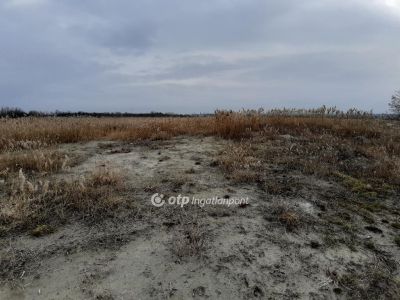 Eladó egyéb telek Zamárdi