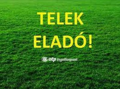 Eladó külterületi telek Hosszúpályi