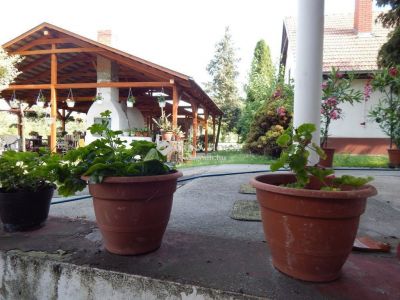 Eladó tanya Ballószög
