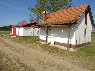 Eladó tanya Lajosmizse