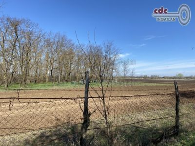 Eladó külterületi telek Táborfalva