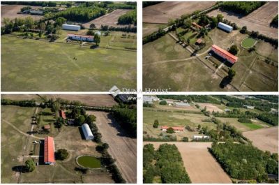 Eladó általános mezőgazdasági ingatlan Lajosmizse