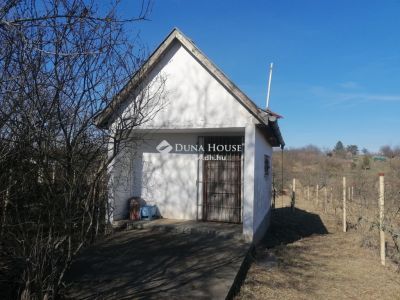 Eladó külterületi telek Hatvan