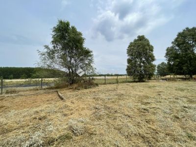 Eladó általános mezőgazdasági ingatlan Kecskemét