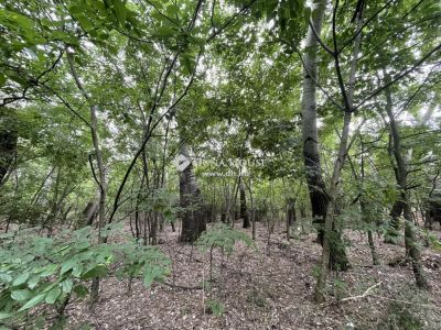 Eladó általános mezőgazdasági ingatlan Kecskemét