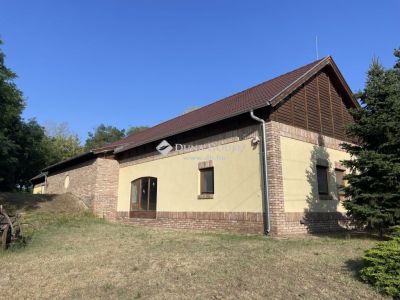 Eladó étterem, vendéglő Lakitelek