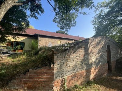 Eladó étterem, vendéglő Lakitelek