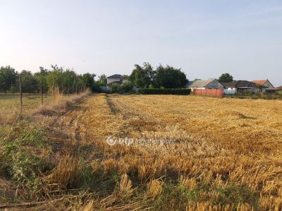 Eladó lakóövezeti telek Debrecen