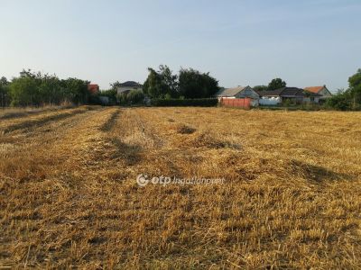 Eladó lakóövezeti telek Debrecen