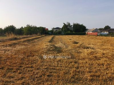 Eladó lakóövezeti telek Debrecen