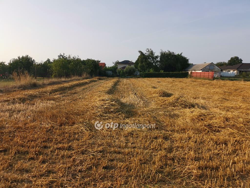 Eladó lakóövezeti telek Debrecen