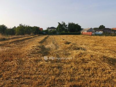 Eladó lakóövezeti telek Debrecen