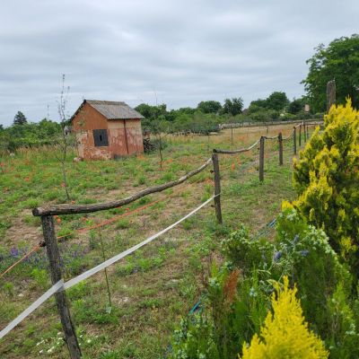 Eladó családi ház Debrecen