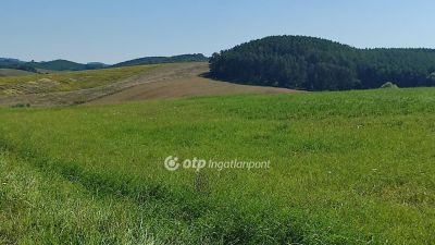 Eladó általános mezőgazdasági ingatlan Cered