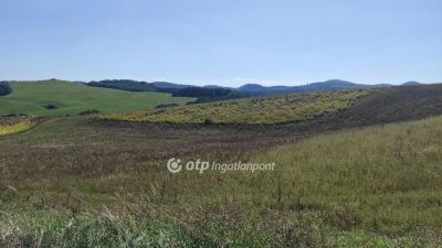 Eladó általános mezőgazdasági ingatlan Cered