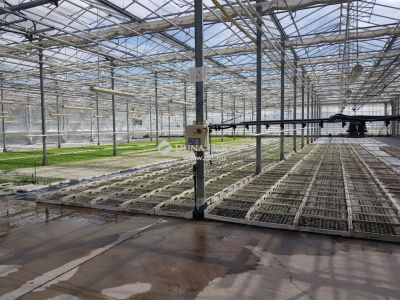 Eladó általános mezőgazdasági ingatlan Kecskemét