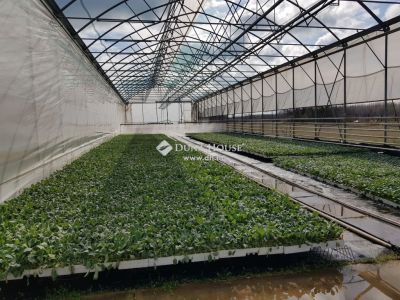 Eladó általános mezőgazdasági ingatlan Kecskemét