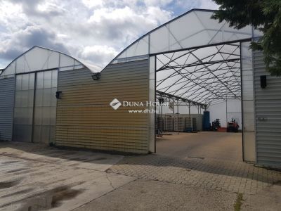 Eladó általános mezőgazdasági ingatlan Kecskemét