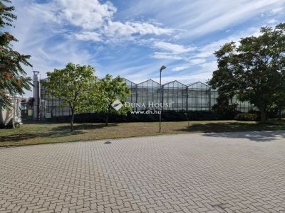 Eladó általános mezőgazdasági ingatlan Kecskemét