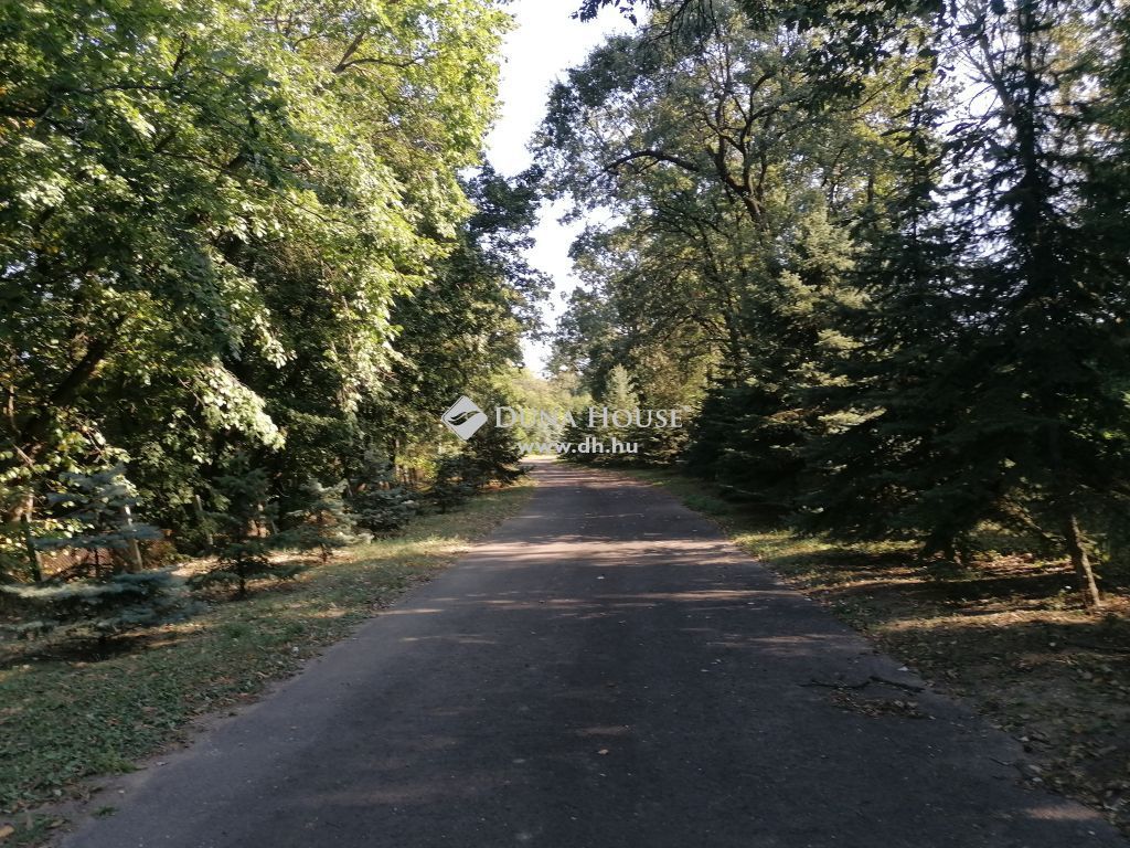 Eladó külterületi telek Mogyoród