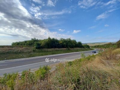 Eladó műhely Andornaktálya