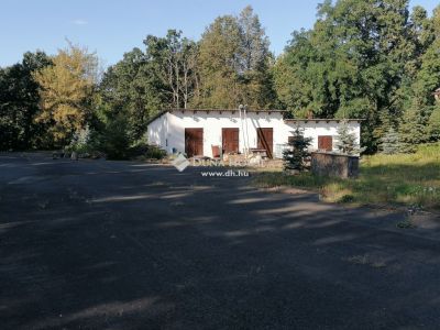 Eladó külterületi telek Mogyoród