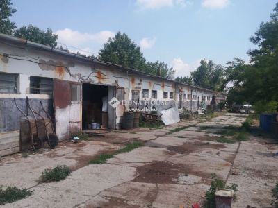 Eladó általános mezőgazdasági ingatlan Kecskemét