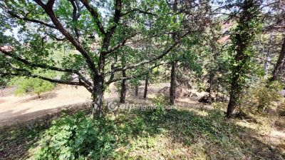 Eladó lakóövezeti telek Velence