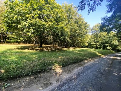 Eladó külterületi telek Nagykanizsa