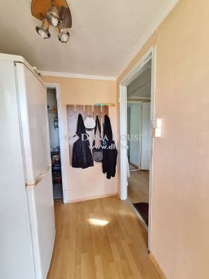 Eladó nyaraló Ráckeve