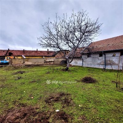 Eladó lakóövezeti telek Nagykőrös