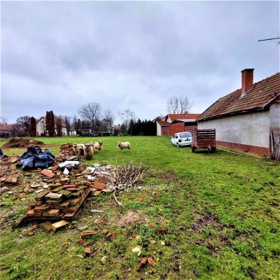 Eladó lakóövezeti telek Nagykőrös